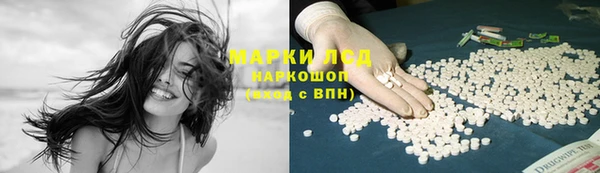 прущие крисы Ельня
