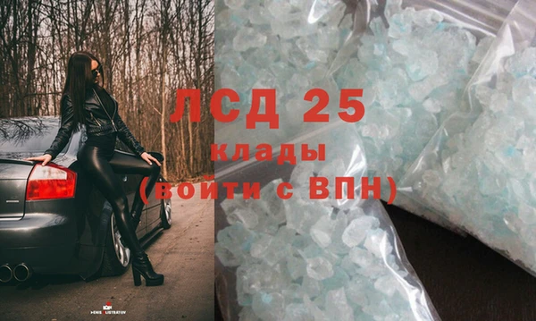 прущие крисы Ельня