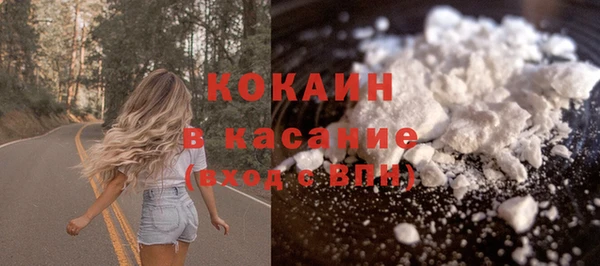 прущие крисы Ельня