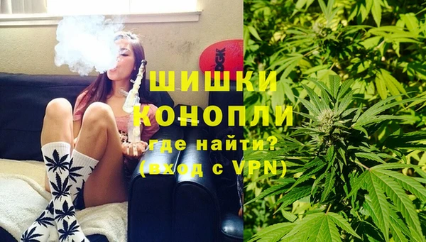 прущие крисы Ельня