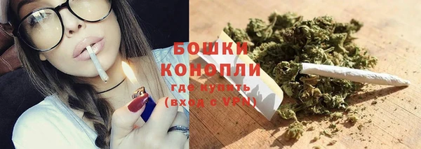 прущие крисы Ельня