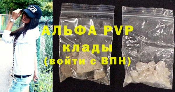 прущие крисы Ельня